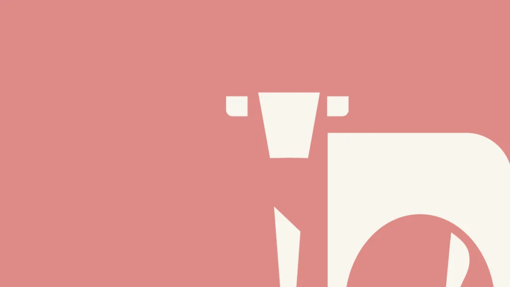 Galeriebild 1/2 – Schader Fleisch – Produkte