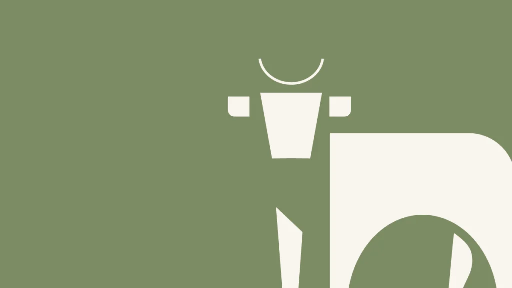 Galeriebild 1/2 – Schader Fleisch – Produkte