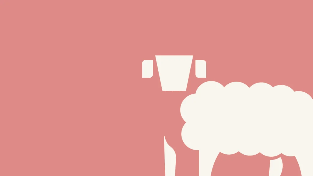 Galeriebild 1/2 – Schader Fleisch – Produkte