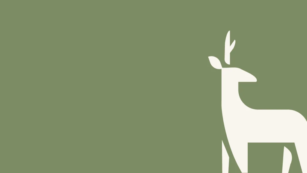 Galeriebild 1/2 – Schader Fleisch – Produkte